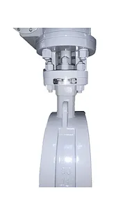 Triple Offset Butterfly Valve